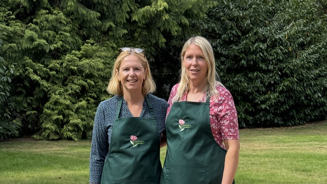 Sisters Behind The Brand