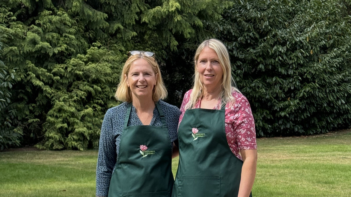 Sisters Behind The Brand