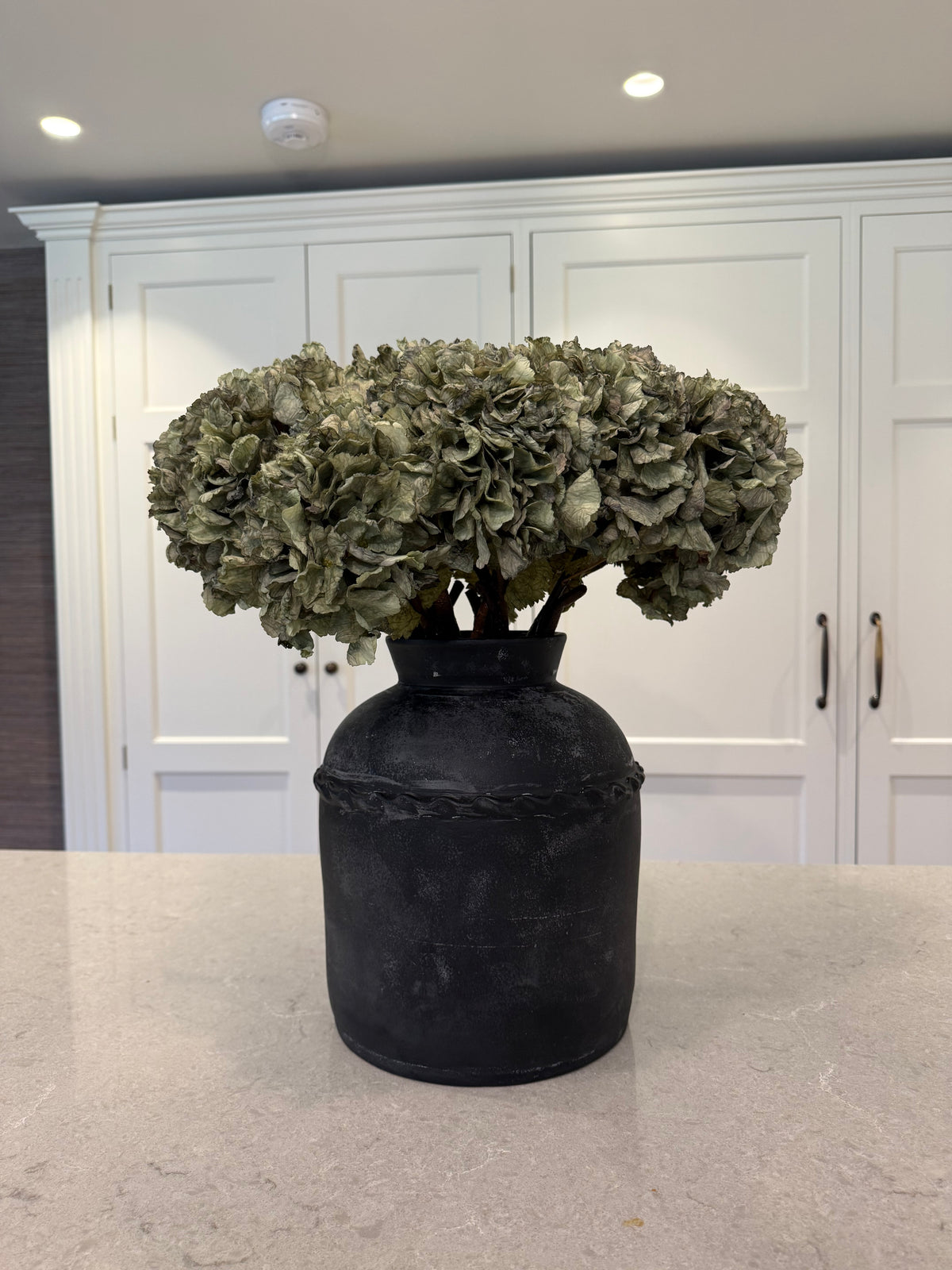 Green Hydrangeas