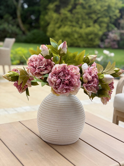 Dried Peonies