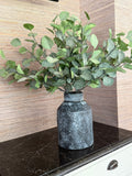 Eucalyptus