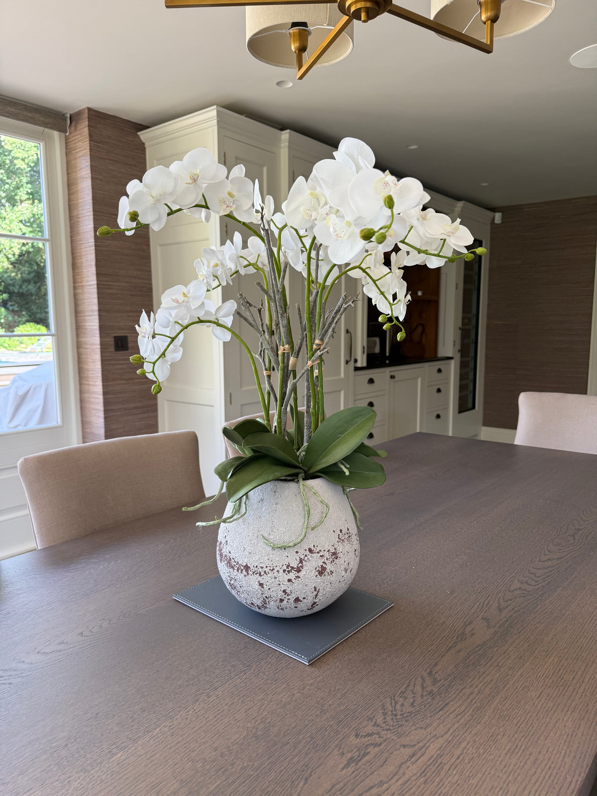 White Potted Orchid
