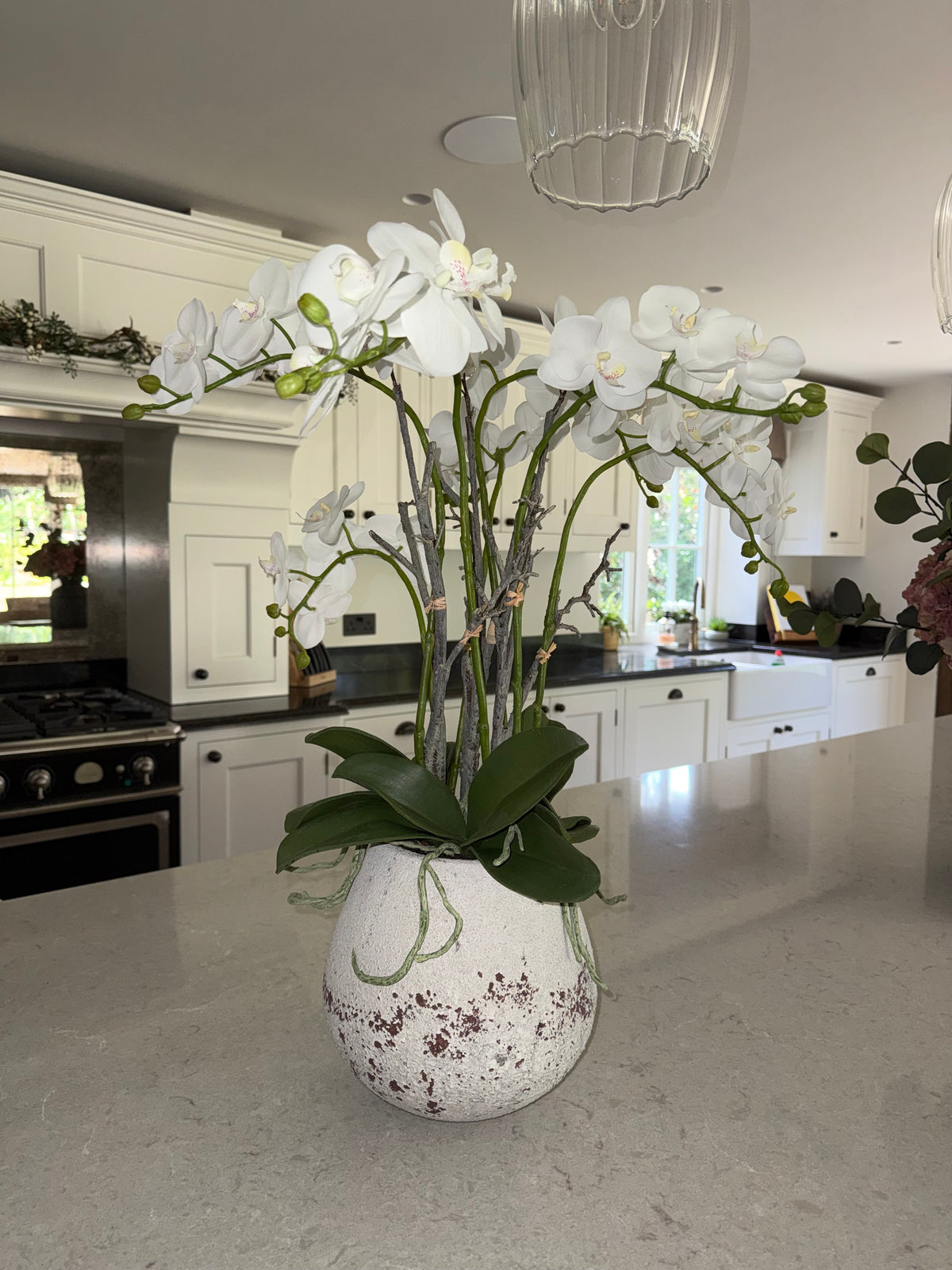 White Potted Orchid